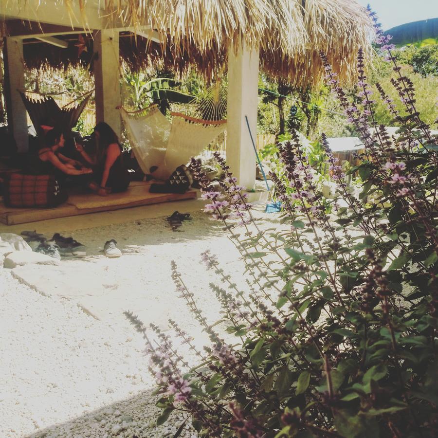Hostel Ahau San Marcos La Laguna Dış mekan fotoğraf