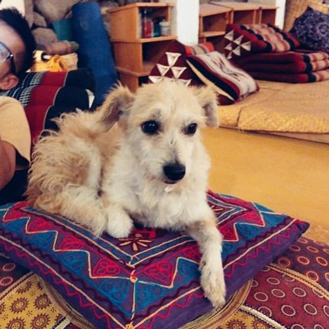 Hostel Ahau San Marcos La Laguna Dış mekan fotoğraf